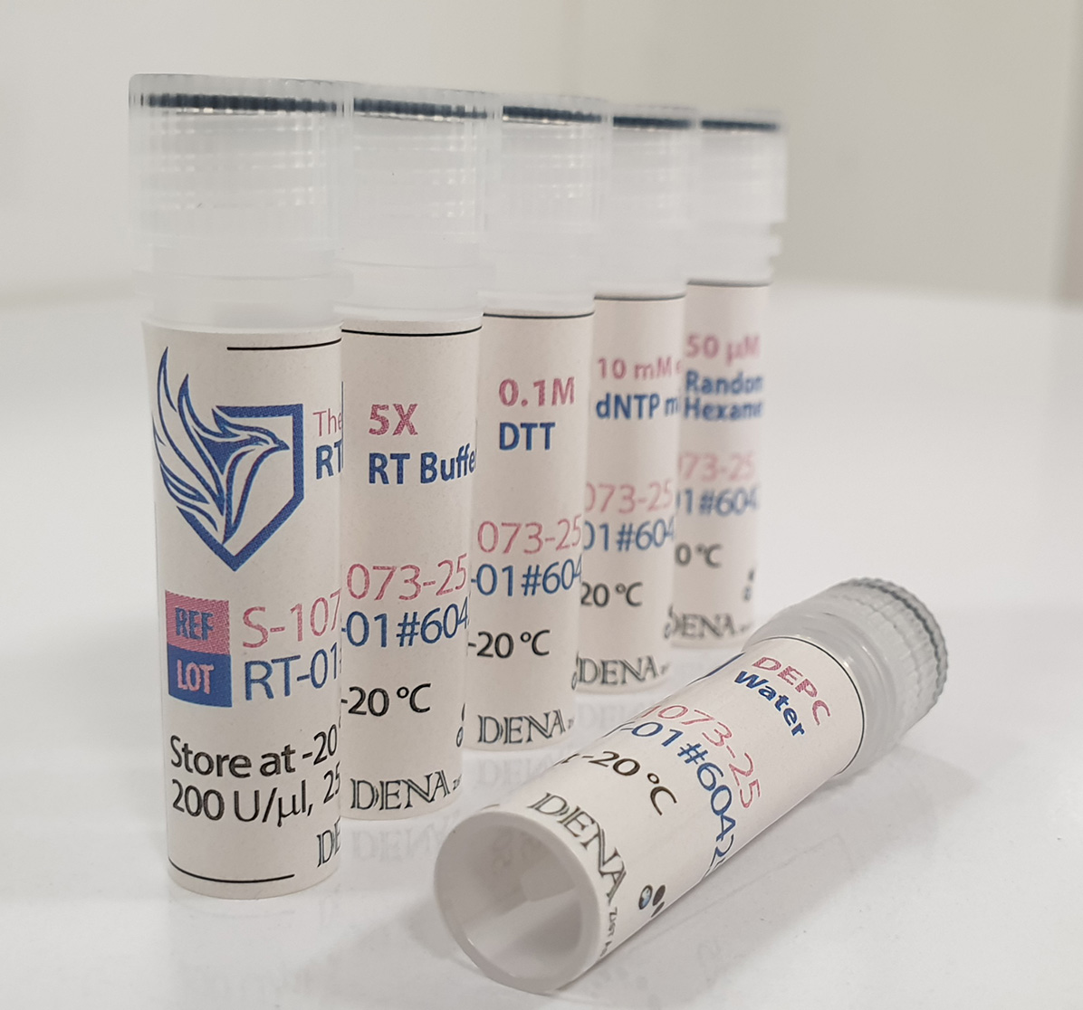 DZ-cDNA-kit